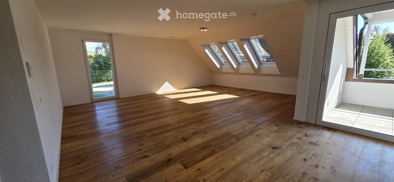 Empty attic room with wooden flooring, large skylights, and sliding glass doors leading to a balcony.