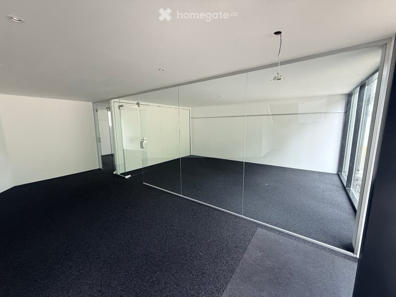 Empty room with white walls, black carpet, large glass partitions, and modern lighting fixtures.