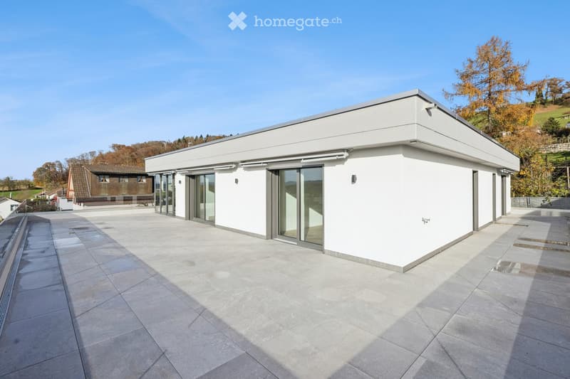 Modern building with glass walls, large patio area, grey tiled floor, roof terrace, and surrounding greenery