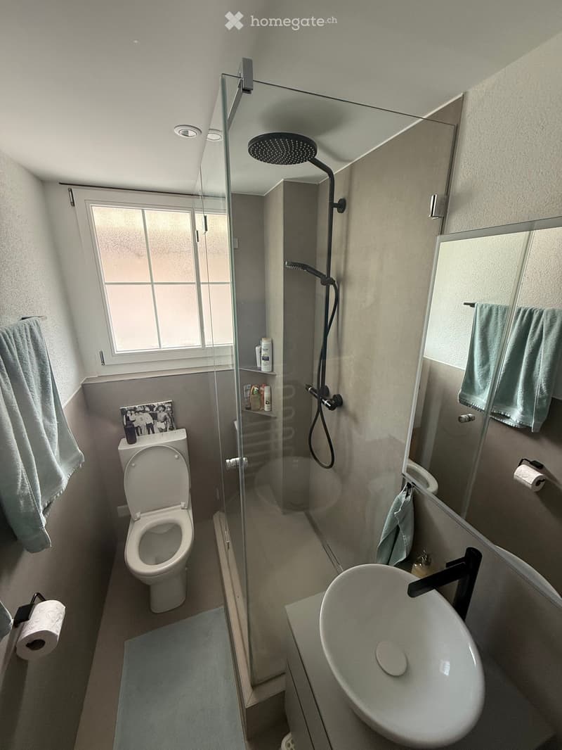 Modern bathroom with a toilet, sink, and glass-enclosed shower. Features include a large mirror, towels, and a window for natural light.