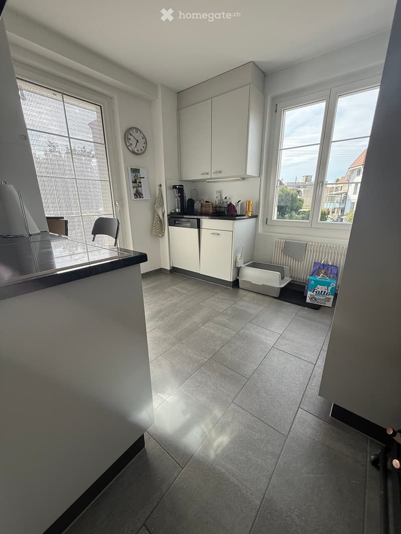 Modern kitchen with white cabinets, tiled floor, and large windows. Includes a refrigerator, chair, dishwasher, cat litter box, coffee maker, clock, and radiator.