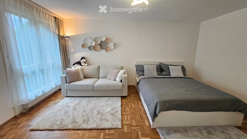 Room with white couch, pillows, bed, gray duvet, white rug, floor lamp, and art pieces on the wall