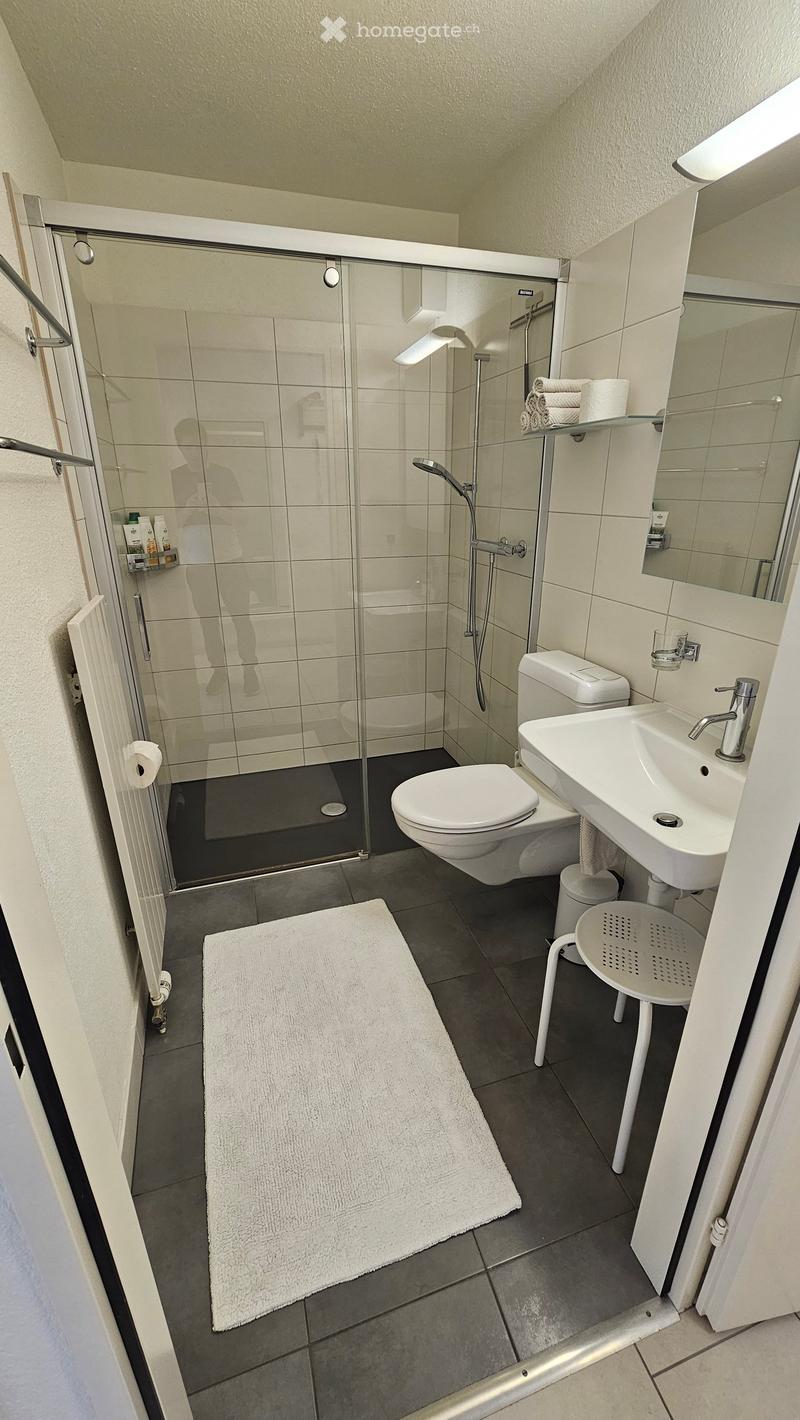 A modern bathroom with shower, toilet, sink, mirror, towel rack and stool