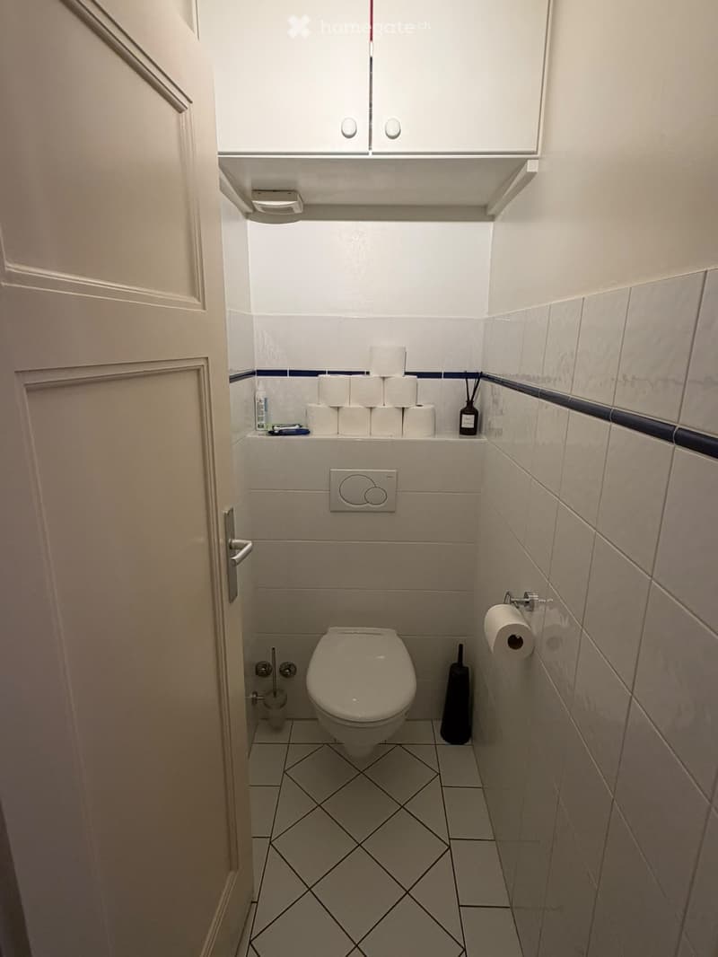 A compact bathroom with a toilet, toilet paper holder, toilet brush, and a small shelf holding toilet paper rolls and a bottle.
