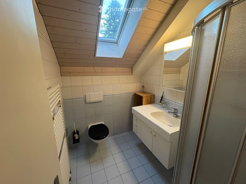 Cozy attic bathroom with skylight windows, white tiled walls, a toilet, a sink with a mirror, and a small wooden cabinet.