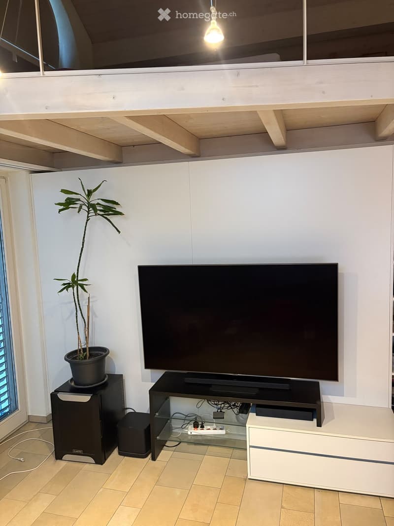 Modern living room with a large flat-screen TV mounted on the wall, a sleek black TV stand with glass shelves, a potted plant on a speaker, and a white cabinet with drawers.