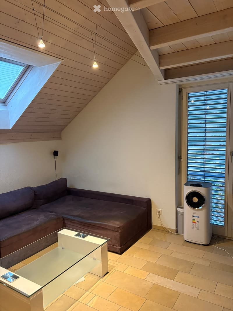 Modern living room with a dark brown sectional sofa, a white glass coffee table, and a white fan near the window. The room features wooden slatted ceilings and warm lighting.
