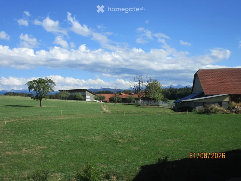 A wide, green field with scattered trees and a few buildings, including a barn and a modern structure, under a partly cloudy sky with distant mountains visible.