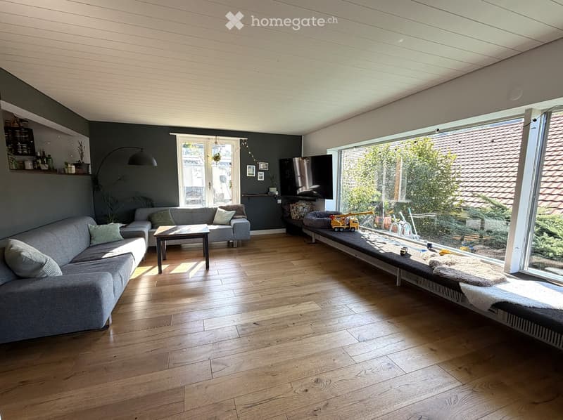 Modern living room with grey sectional sofa, wooden coffee table, large windows, TV, and pet bed with toys.