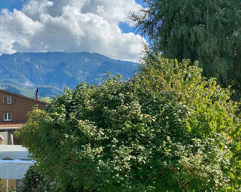 Lush green tree in the foreground with a scenic mountain view in the background, under a partly cloudy sky.