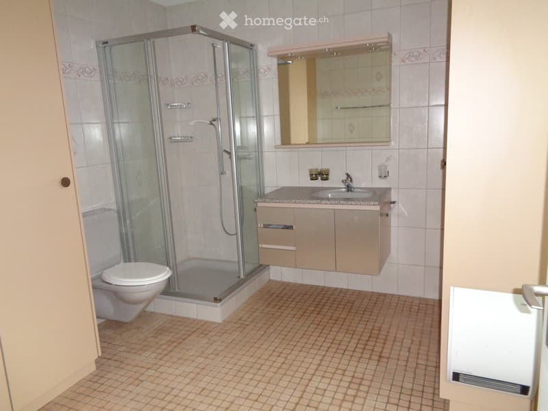 Modern bathroom with a tiled shower stall, a toilet, a sink with a mirrored cabinet, and a tiled floor.