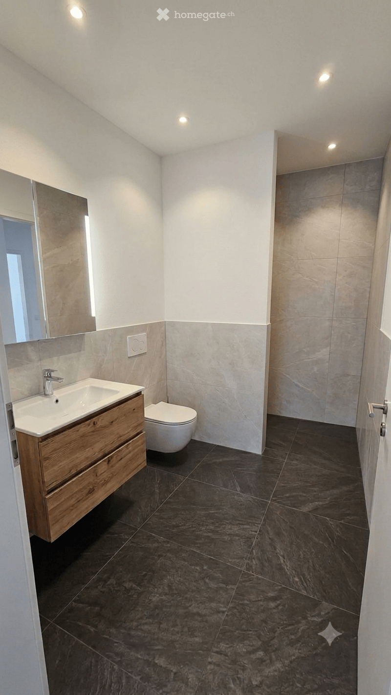 Modern bathroom with dark marble tiles, a wooden sink cabinet, a toilet, and a large mirror.