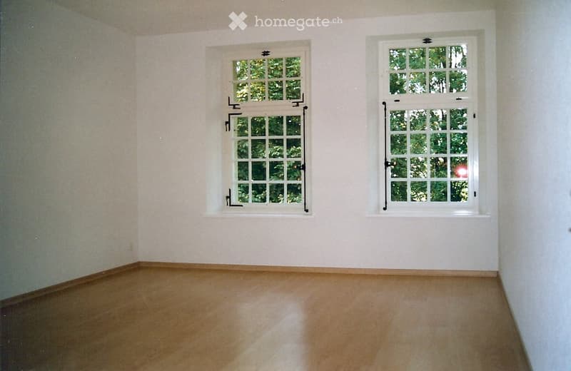 empty room, wooden floor, white walls, two windows, view of trees