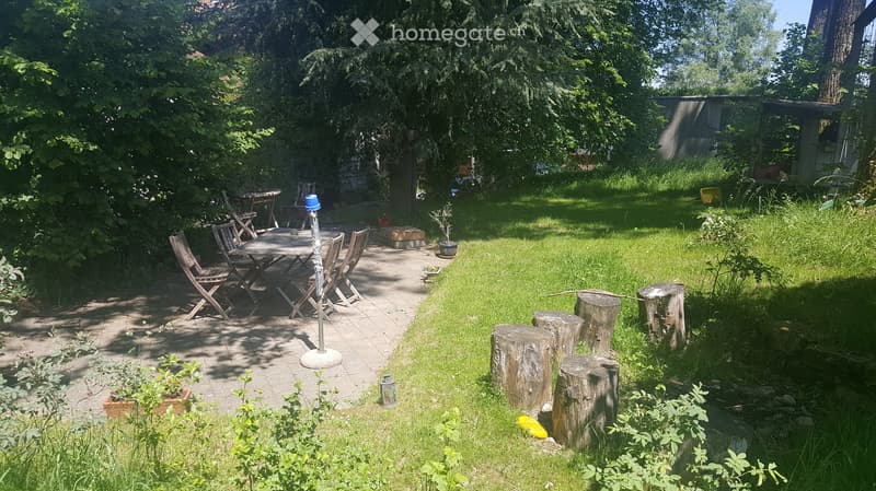 Outdoor dining area with table and chairs, potted plants, wooden logs, and a grassy area.