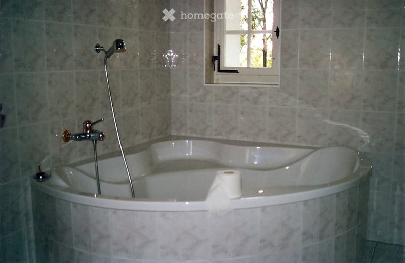 Bathroom with a large bathtub, shower head, and a window