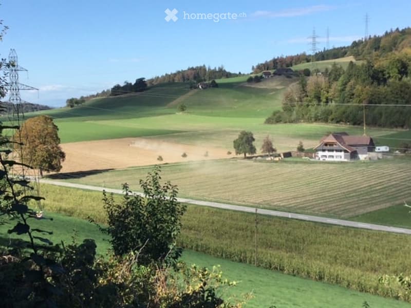 A peaceful rural landscape with rolling green hills, a small house, and cultivated fields under a clear blue sky.