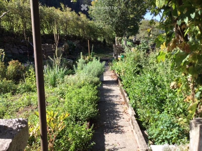 A well-maintained garden with a gravel pathway flanked by lush greenery, including shrubs, herbs, and small trees. The garden is enclosed by stone walls and wooden fences, with a serene, natural setting.