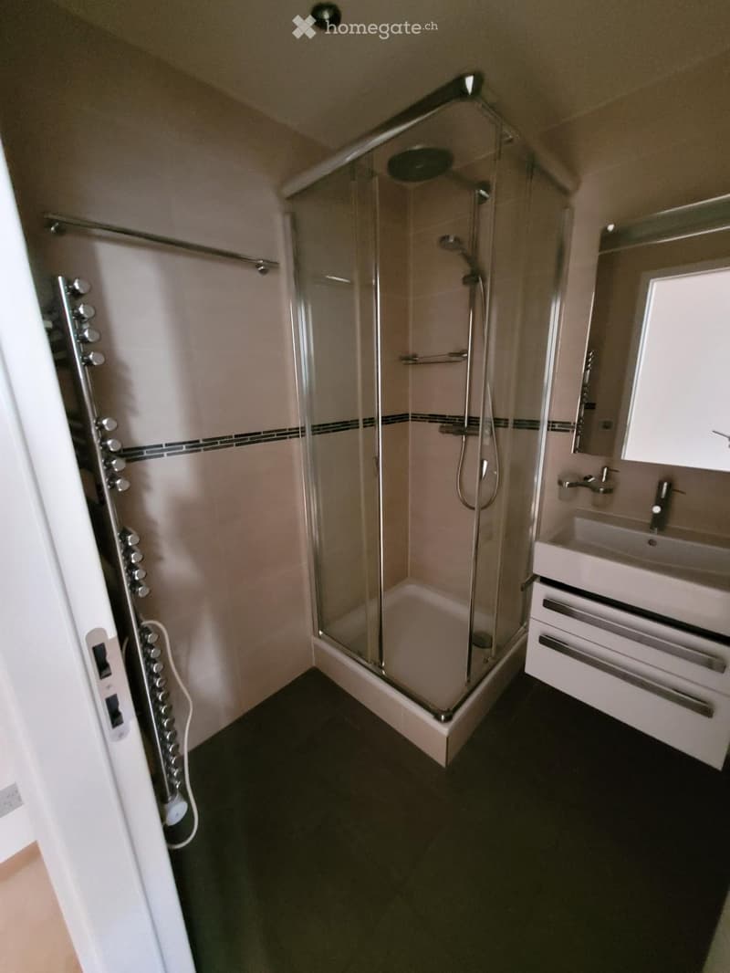 Modern bathroom with a glass-enclosed shower, a sink with a mirror, and a dark tiled floor.