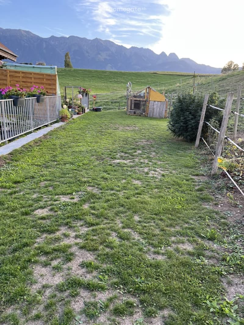 Lush green garden with a wooden fence, potted plants, and a small wooden shed. The background features a scenic mountain view.