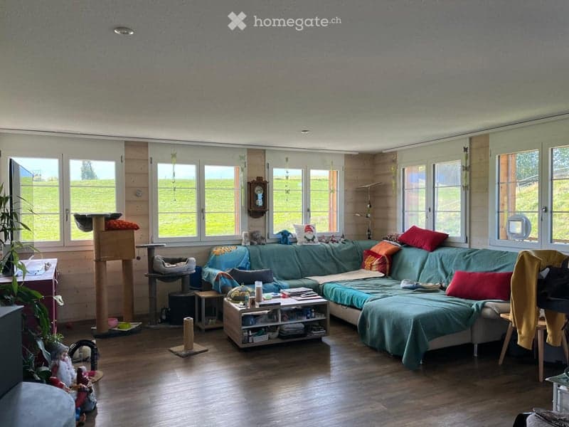 A cozy living room with a large sectional sofa, colorful cushions, a coffee table with books and items, a cat tree, and a cat bed. The room has large windows with a view of a green field, wooden flooring, and a warm, inviting atmosphere.