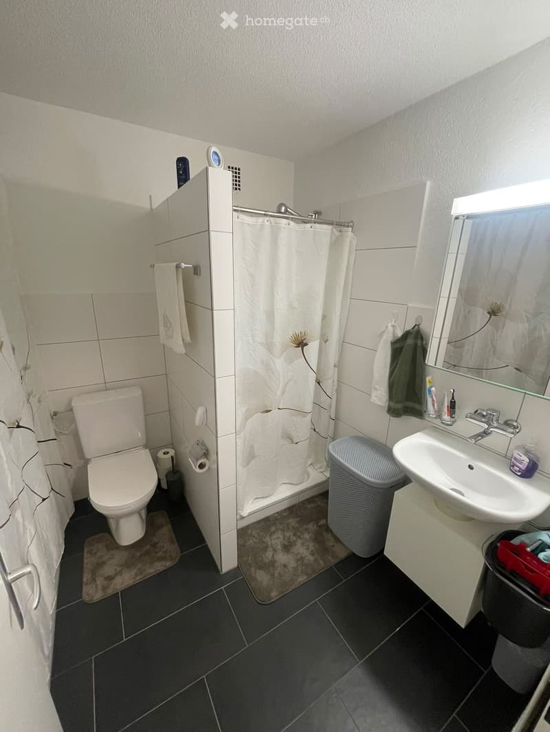 Modern bathroom with dark tiled floor, white walls, toilet, sink, mirror, shower curtain, towels, and a trash bin.