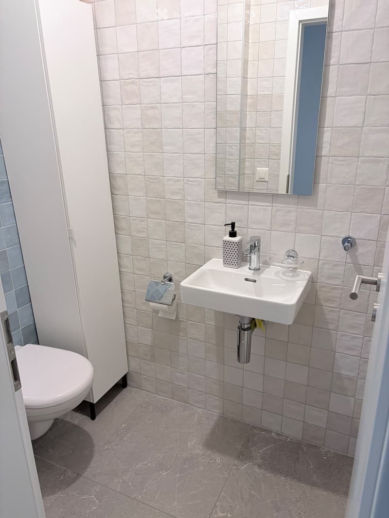 Modern bathroom with white tiled walls, a white toilet, a white sink with a chrome faucet, a mirror, and a soap dispenser.