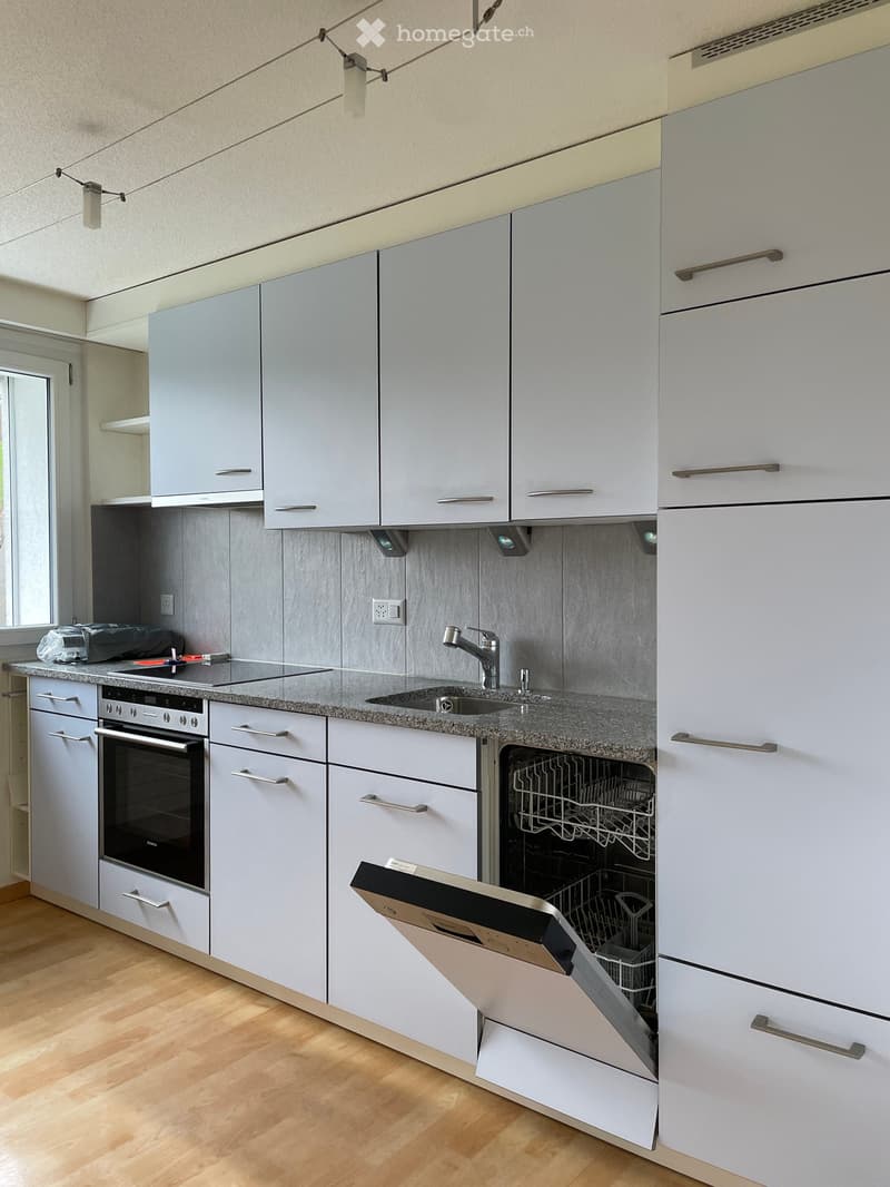 Modern kitchen with light grey cabinets, granite countertop, stainless steel oven, dishwasher, and sink.