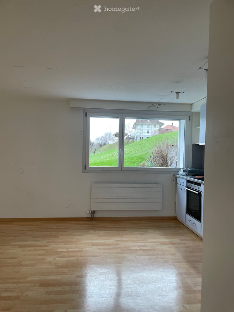 Empty room with wooden flooring, large window showing a green hill and house outside, radiator on wall, and small built-in kitchen area with oven and countertop.