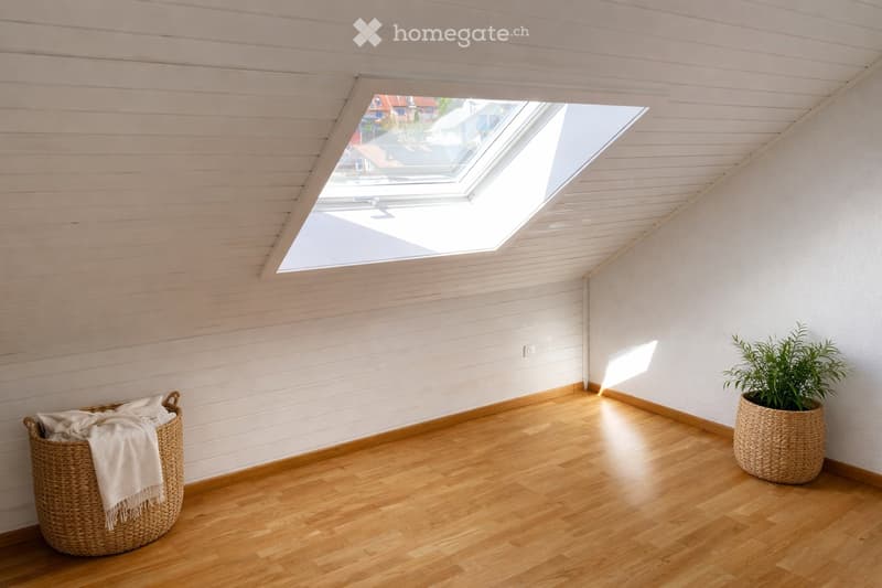 Bright, minimalist room with wooden flooring, white paneled ceiling, skylight windows, and a small potted plant in a woven basket.