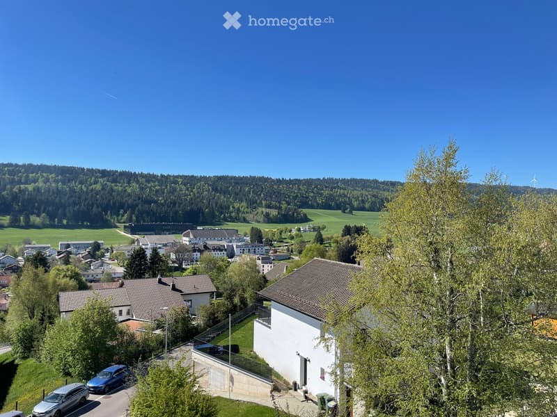 Aerial view of a residential area with houses, trees, and a scenic valley in the background.