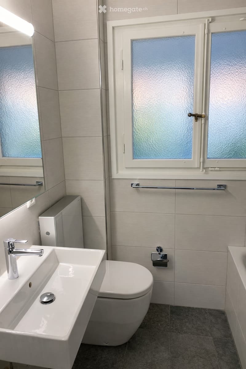 Modern bathroom with a white sink, chrome faucet, toilet, mirror, and towel rack. Frosted glass windows provide natural light.