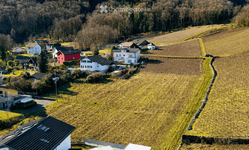 Aerial view of a rural village with multiple houses, surrounded by fields and trees.