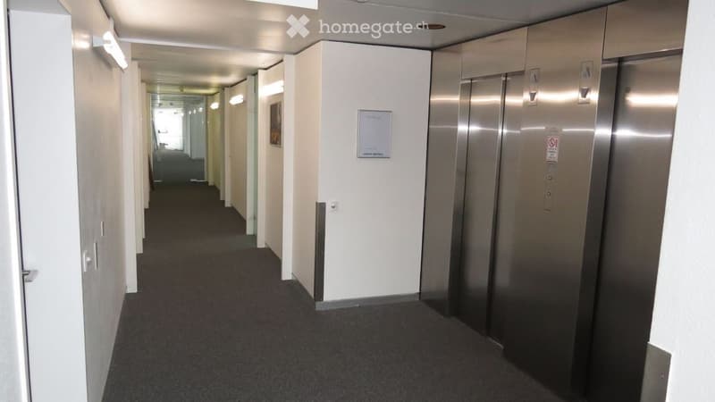 The image shows a long hallway with gray carpeted floors, white walls, and several elevator doors along the sides. The hallway appears to be in a commercial or office building.
