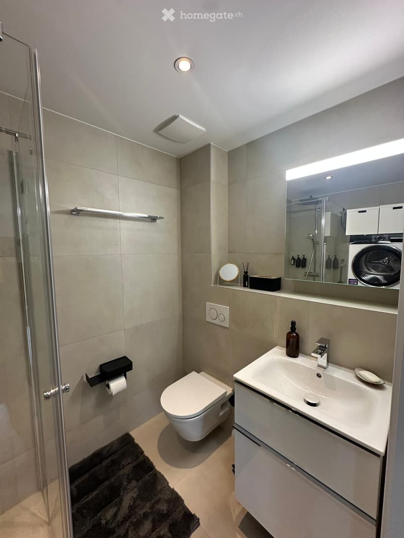 Modern bathroom with a toilet, sink, mirror, and shower. Features include a towel on the floor, a toilet paper holder, and a light fixture on the ceiling.