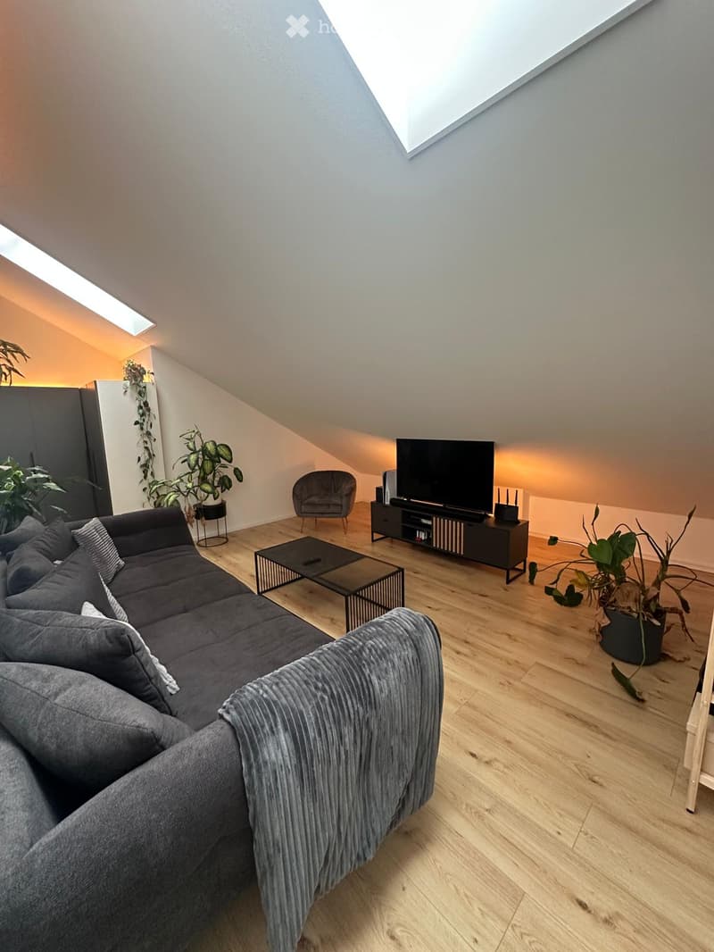 Modern living room with wooden flooring, grey sectional sofa, coffee table, armchair, TV stand, and potted plants.