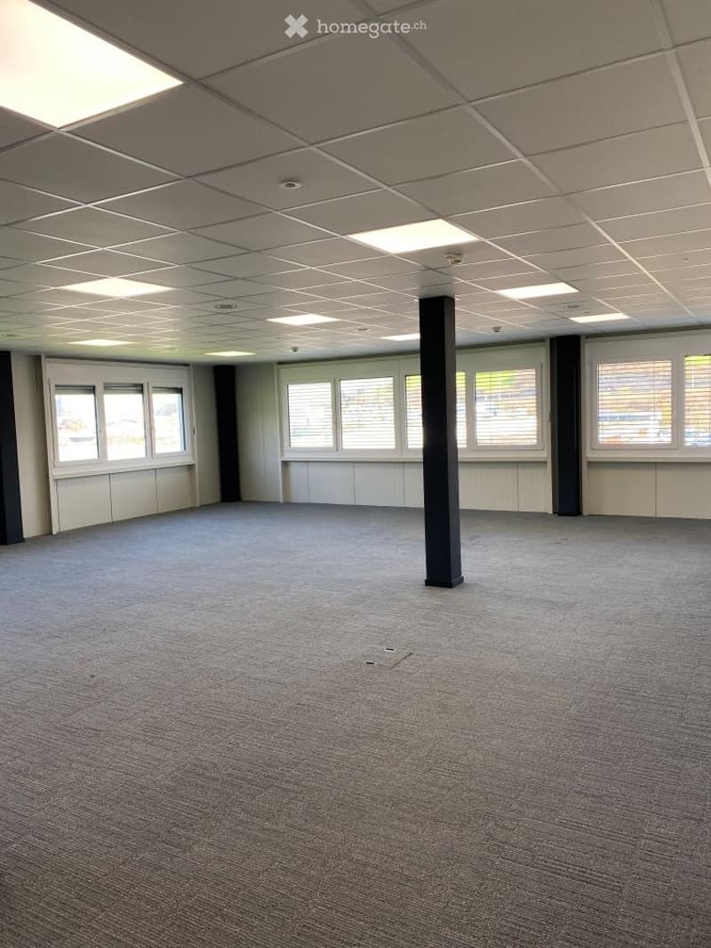 empty room, white walls, gray carpet, large windows, ceiling lights