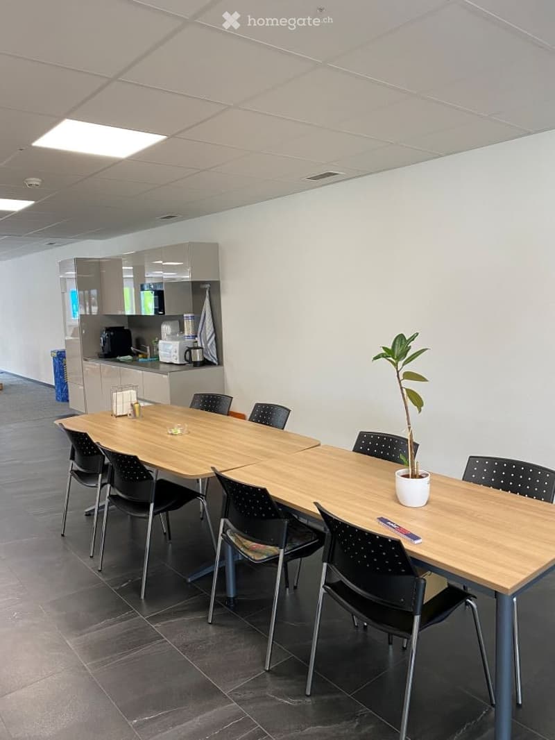 empty room with two long tables, chairs, kitchen area with appliances, potted plant