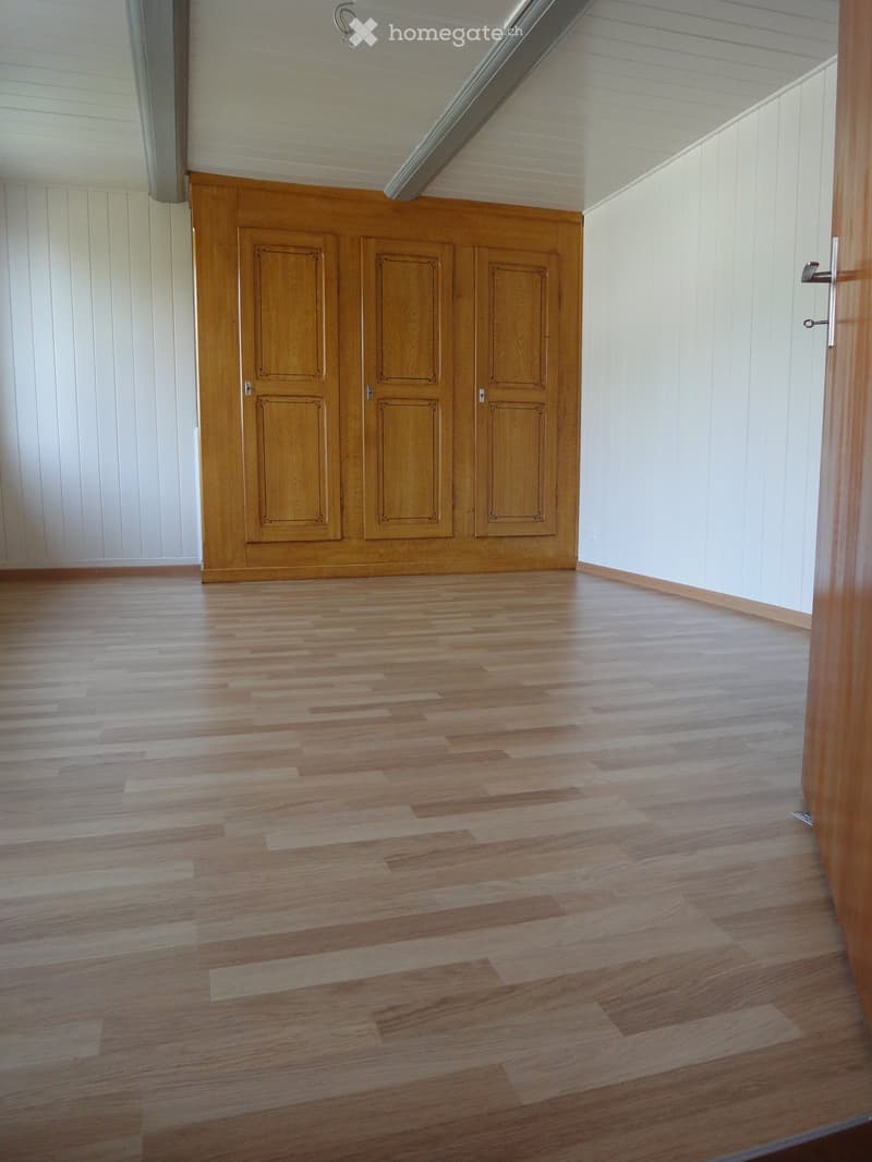 Empty room with wooden flooring and white paneled walls, featuring a large wooden cabinet with three doors.
