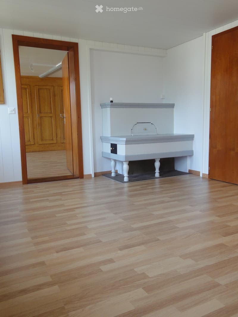 Empty room with wooden flooring, white walls, and a fireplace with a grey mantel. There are two wooden doors, one with a mirror attached.