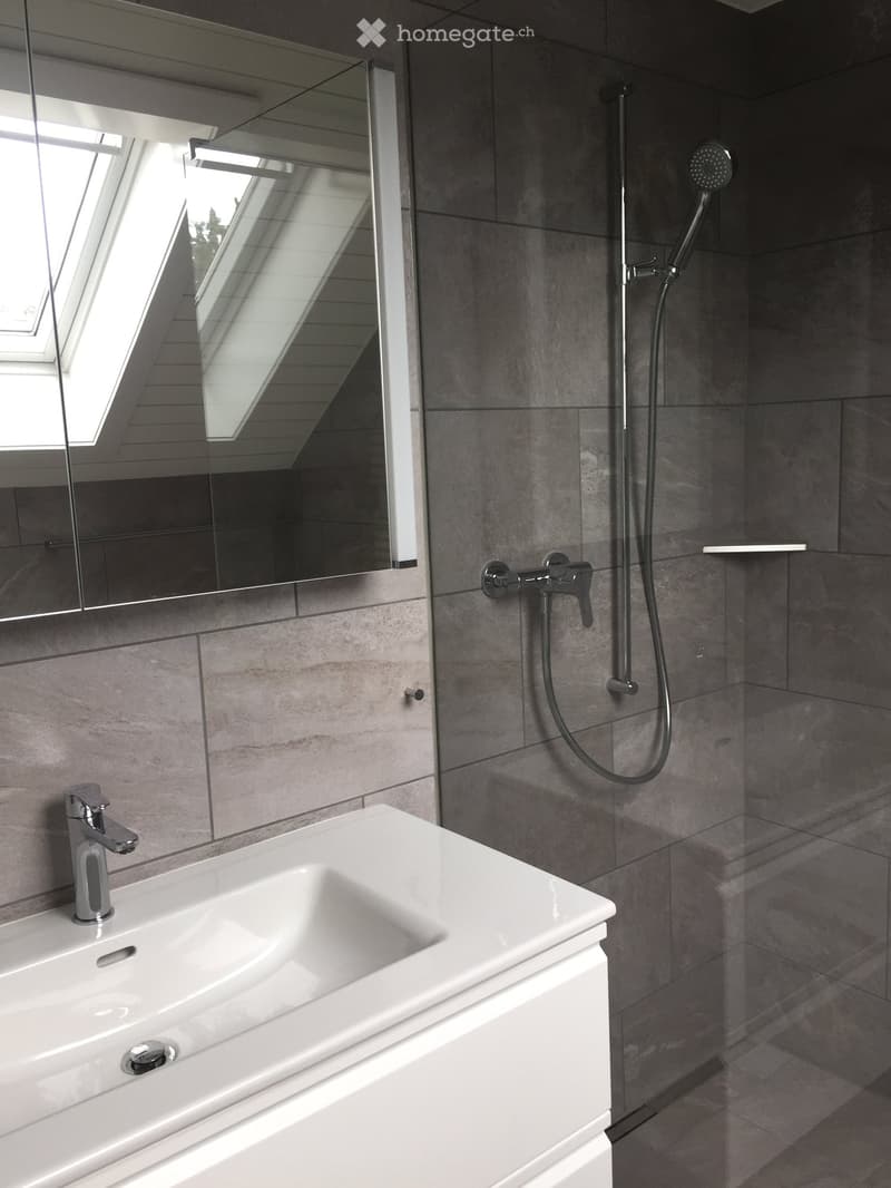 Modern bathroom with a white sink, chrome faucet, large mirror, and a showerhead with handheld sprayer.