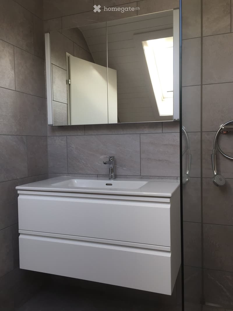 Modern bathroom with a white sink, sleek faucet, large mirror, and built-in cabinet. Grey tiled walls and a glass shower enclosure are visible.