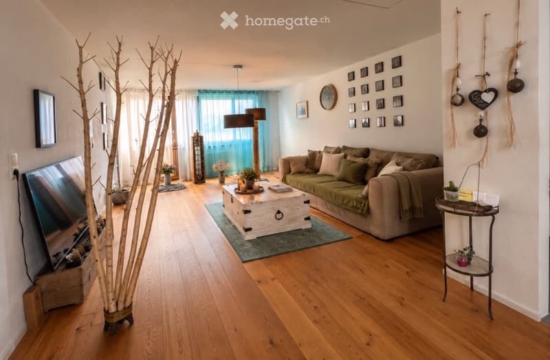 Modern living room with wooden flooring, a large sofa with multiple cushions, a coffee table, a television, floor lamp, side table, and decorative items including picture frames and potted plants.