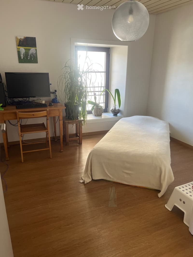 A well-lit room with wooden flooring, a desk with a computer setup, a bed covered with a white sheet, a small stool, and potted plants near the window.