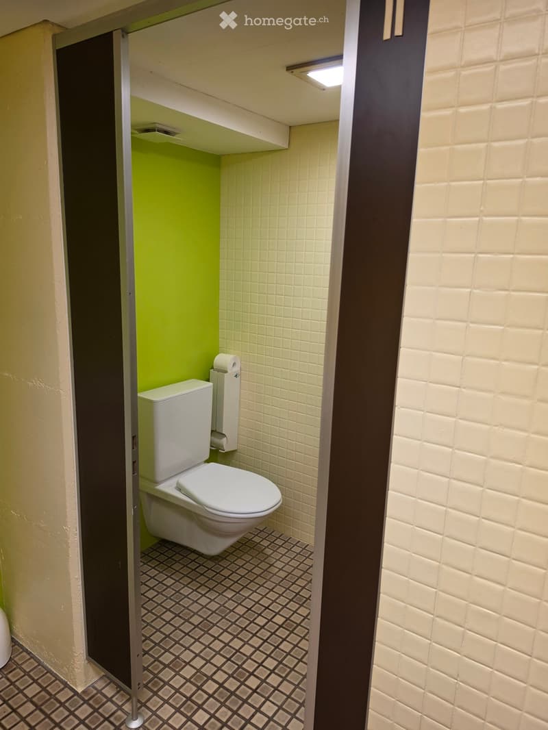 Modern bathroom with white tiled walls, a toilet, and a toilet paper holder. The floor features a dark, patterned tile design.