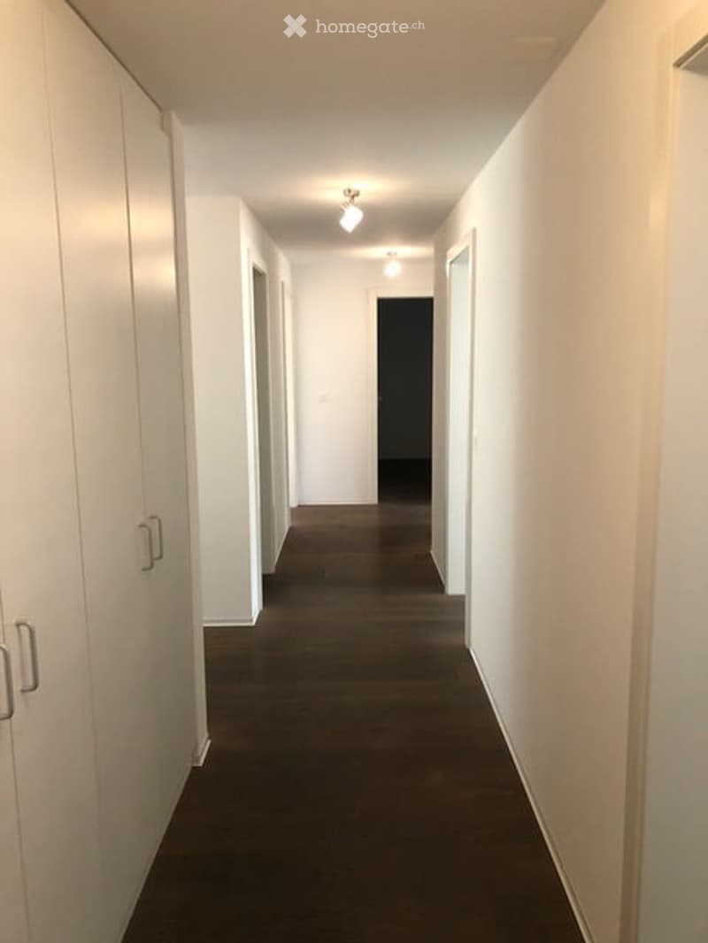 A long, narrow hallway with white walls, dark flooring, and built-in white cabinets on one side. The ceiling has recessed lighting.