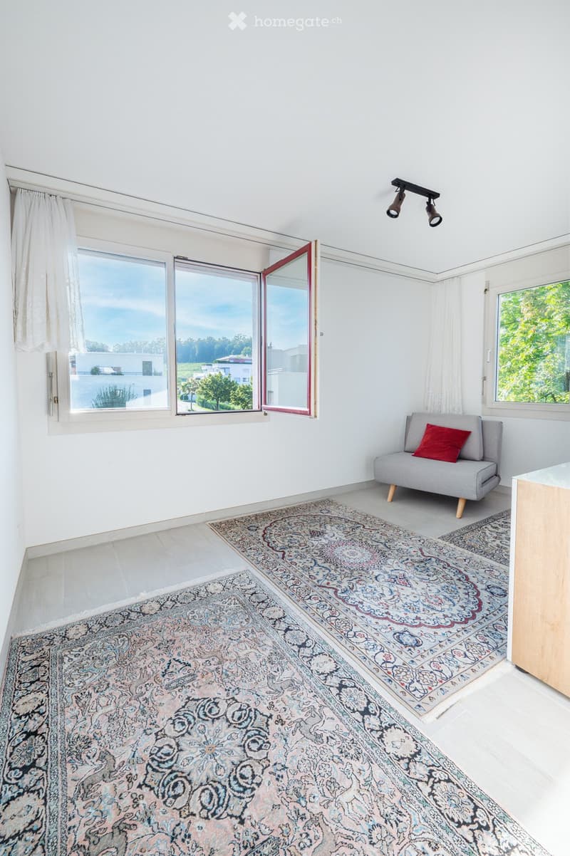 Bright living room with large windows, grey sofa with red pillow, patterned rugs, and modern lighting fixtures.