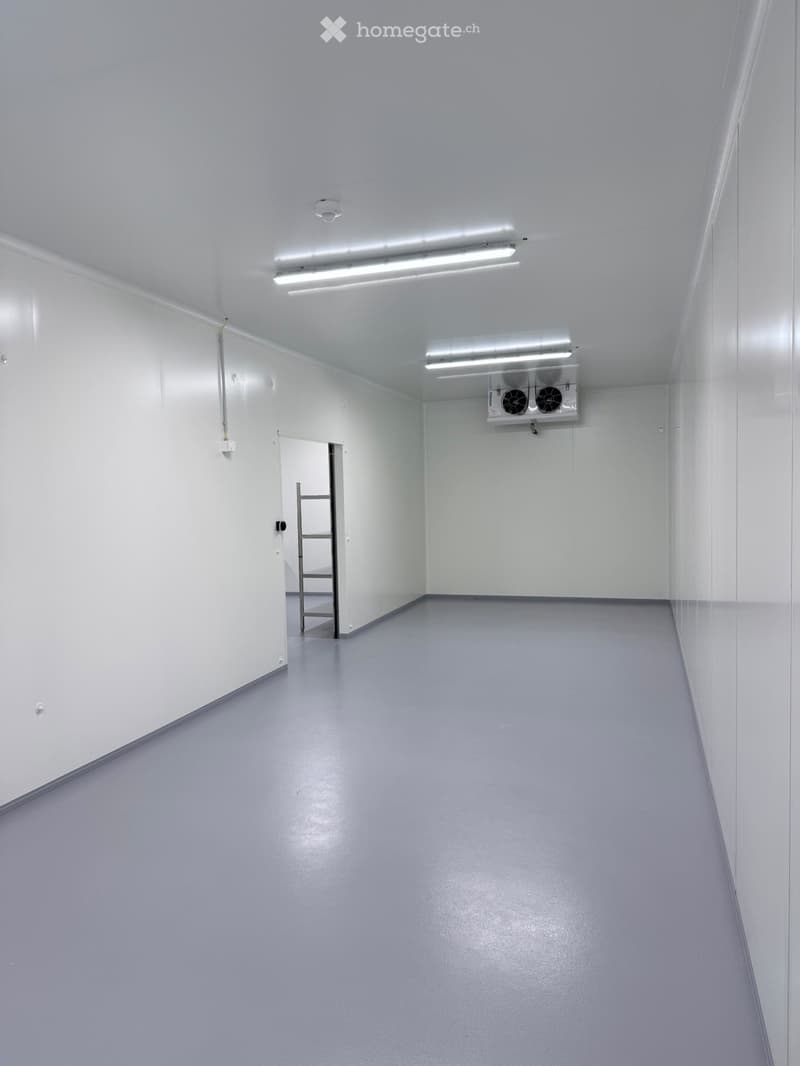 Empty room with white walls, grey floor, fluorescent lighting, and a small ladder in the background.