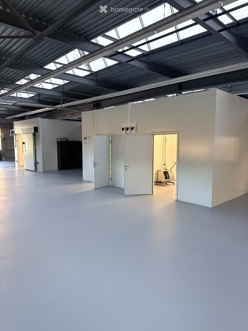 Large, empty industrial-style room with white walls, grey concrete floor, and multiple white partition walls. The room features a high ceiling with exposed metal beams and skylights, and several doors lead to other sections.