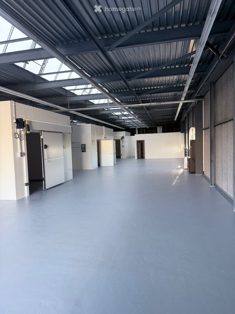 Empty industrial-style room with grey concrete floor, white walls, large metal-framed windows, and multiple doors.