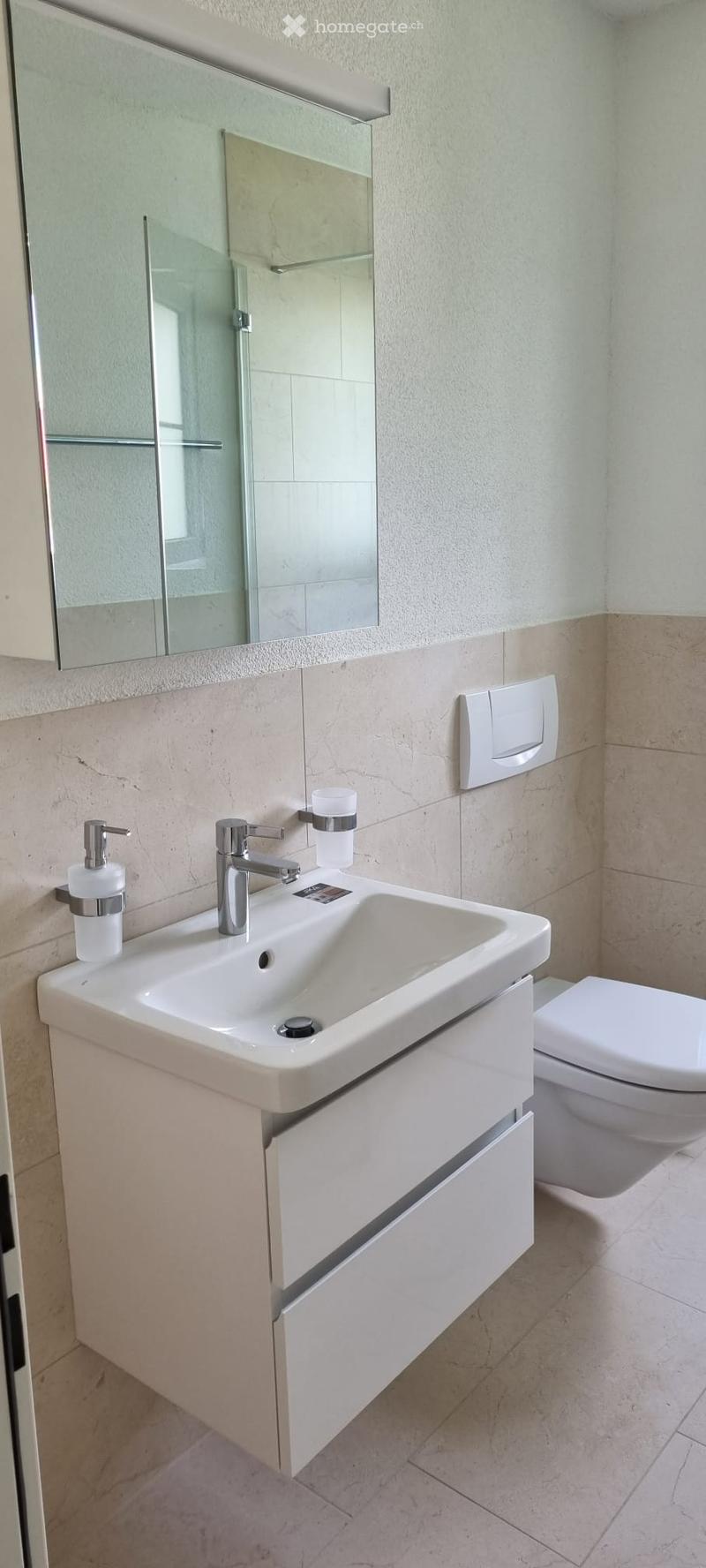 Modern bathroom with a white sink, chrome faucet, and a toilet. Features a large mirror with a sleek design and a soap dispenser on the sink.